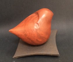 Oiseau, oxyde sur terre cru polie.