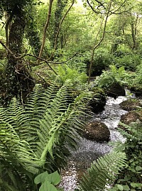 De l’eau, des arbres, des pierres…