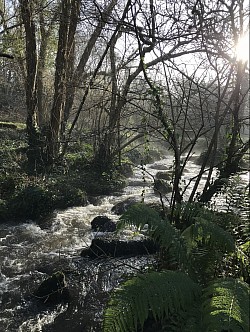 La rivière