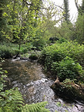 La rivière