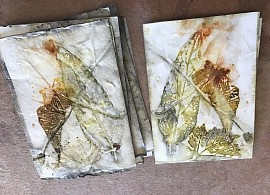 Empreinte de feuille par éco-print