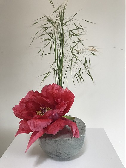 Pique fleur et pavot