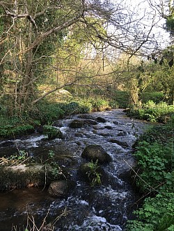 Le kérallé