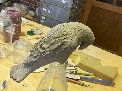 Modelage d’un oiseau